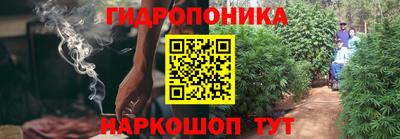 прущая мука Будённовск