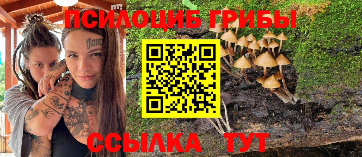 наркошоп  Галлюциногенные грибы Psilocybine cubensis  Вход с VPN  Котельники  Галлюциногенные грибы Psilocybe 